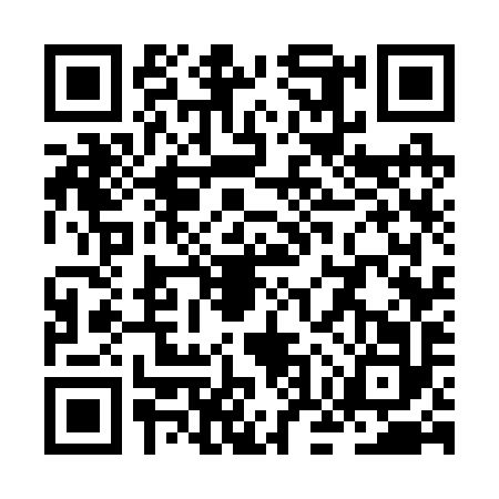 QR code for ZOW2929