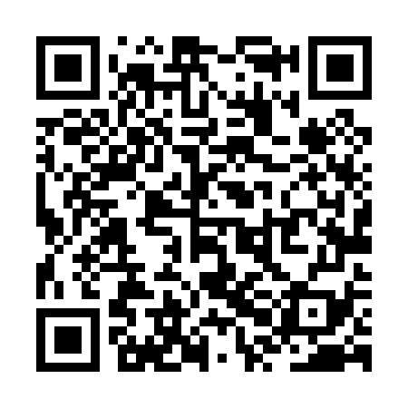 QR code for ZPL079