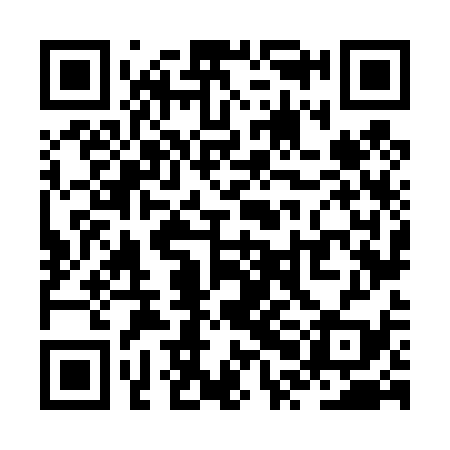 QR code for ZPN439