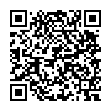 QR code for ZPP491