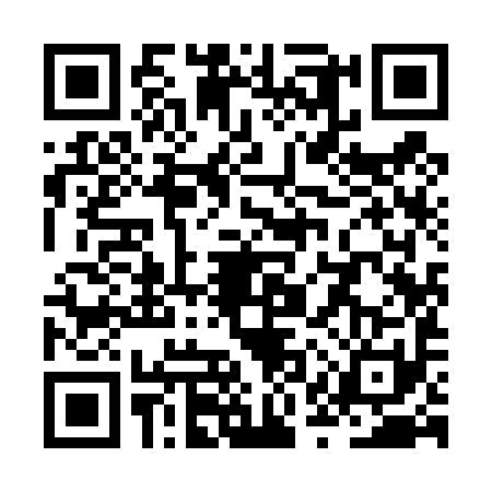 QR code for ZQY4919
