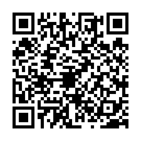 QR code for ZRH6398
