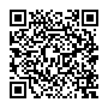 QR code for ZRI6491