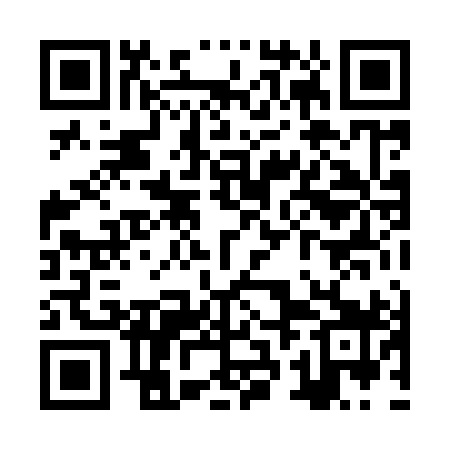 QR code for ZRL999