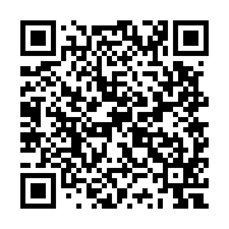 QR code for ZSG595