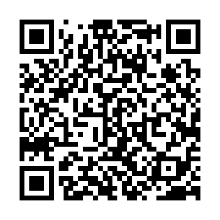 QR code for ZST319