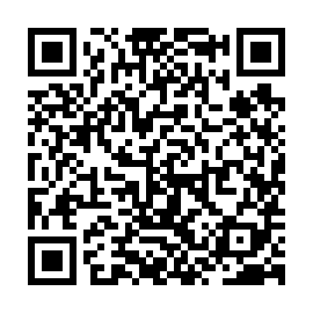 QR code for ZSY689