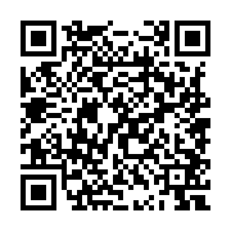 QR code for ZTN9424