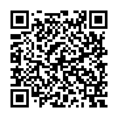 QR code for ZTP993
