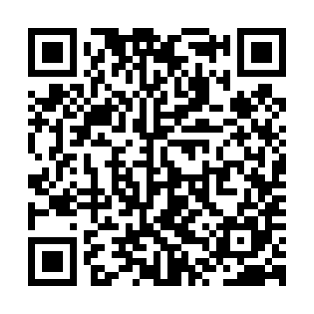 QR code for ZTS485