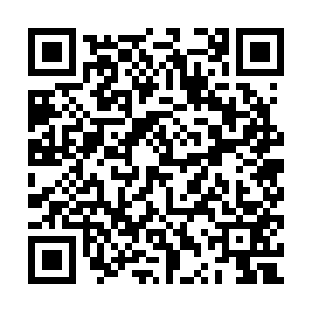 QR code for ZTW2539