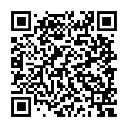QR code for ZTX593