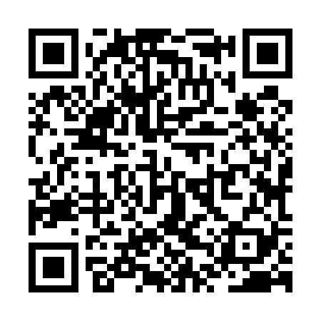 QR code for ZTZ529