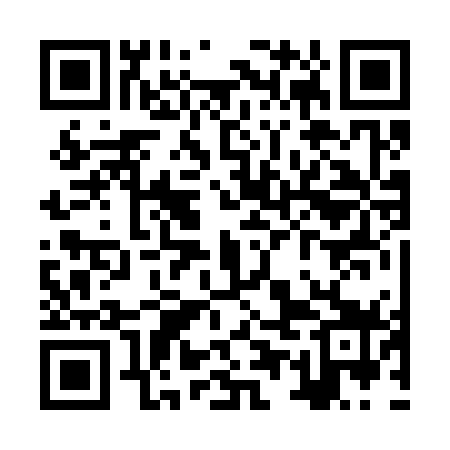 QR code for ZUB379