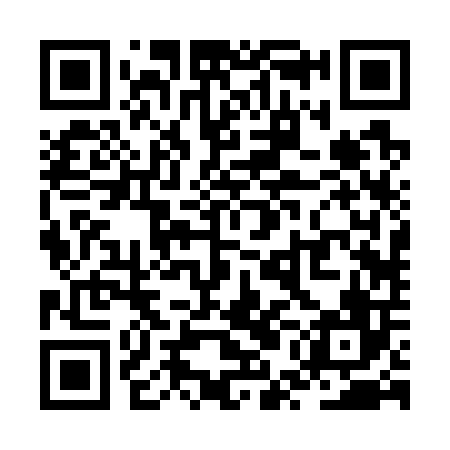 QR code for ZUB706