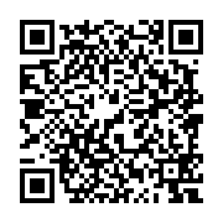 QR code for ZUX4991