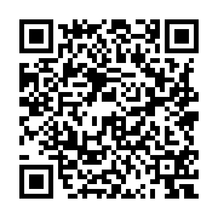 QR code for ZVM9141