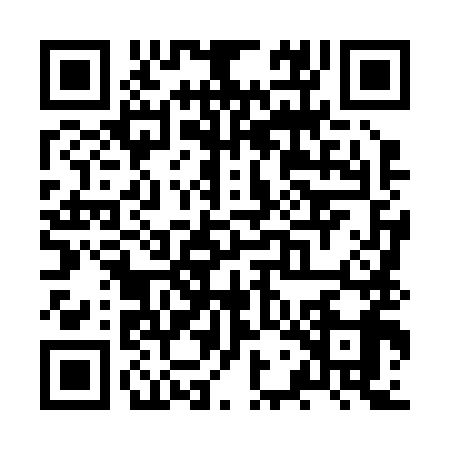 QR code for ZWL2993