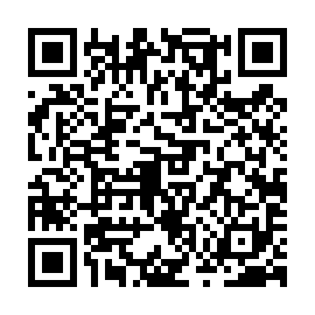 QR code for ZWT4919