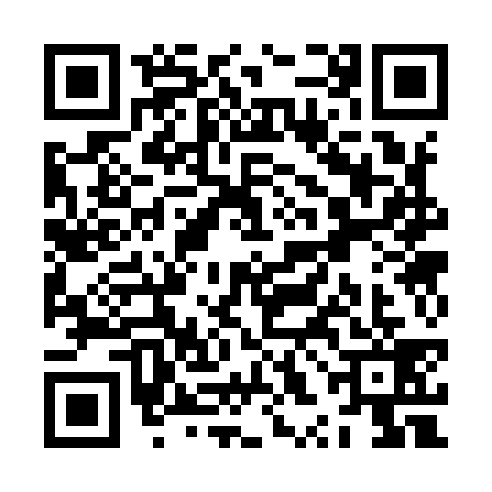 QR code for ZXC9393