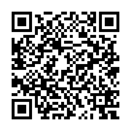 QR code for ZXQ5291