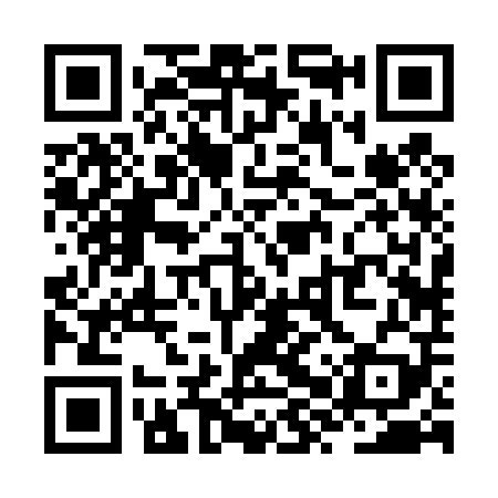 QR code for ZXR409