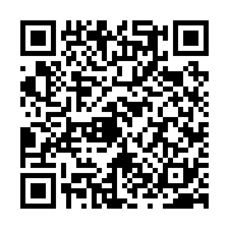 QR code for ZXV2317
