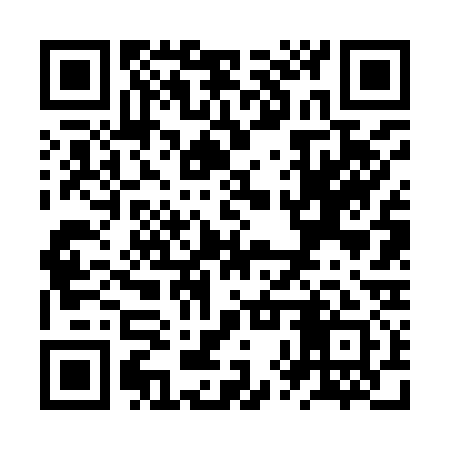 QR code for ZXV931