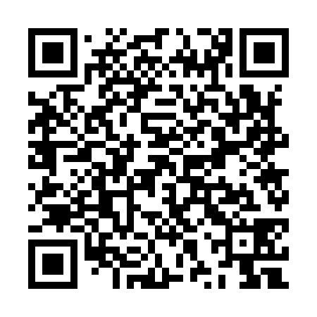 QR code for ZXW938