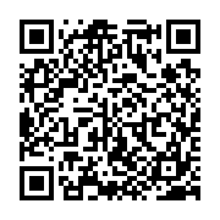 QR code for ZYC737