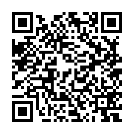 QR code for ZYC8592