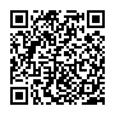 QR code for ZYE551