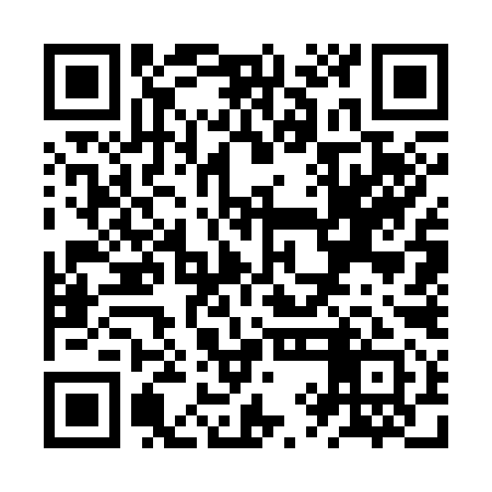 QR code for ZYG391