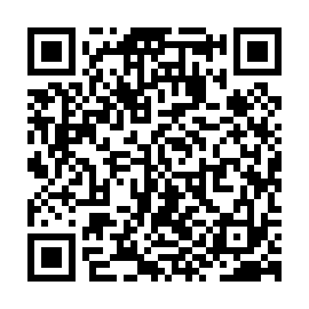 QR code for ZYI033