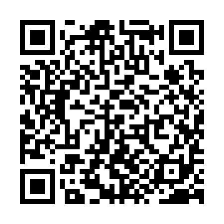 QR code for ZYI391