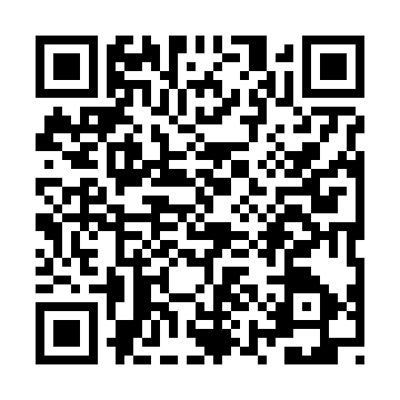 QR code for ZYI6379