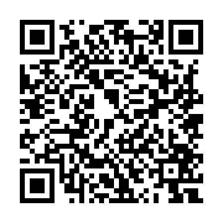 QR code for ZYJ9474