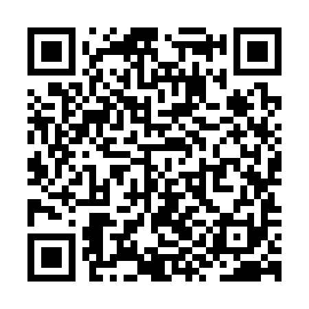 QR code for ZYK391