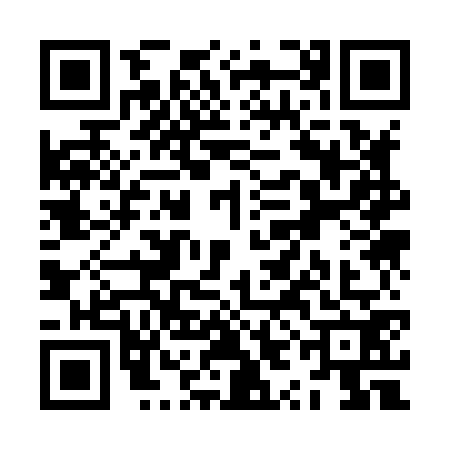 QR code for ZYK8729