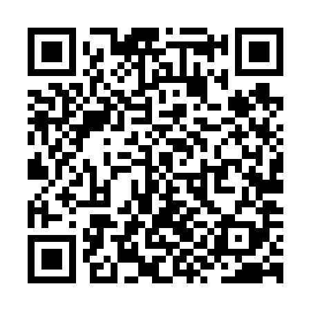 QR code for ZYL689