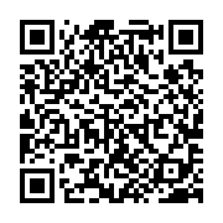 QR code for ZYL799