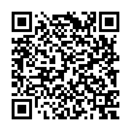QR code for ZYL931