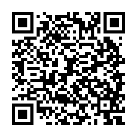 QR code for ZYN287
