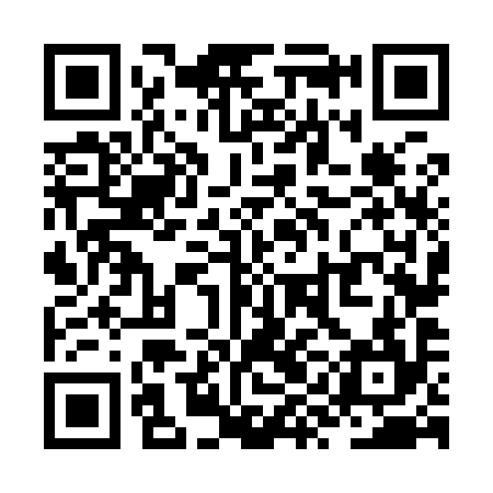 QR code for ZYN994