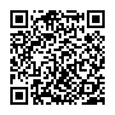 QR code for ZYO009