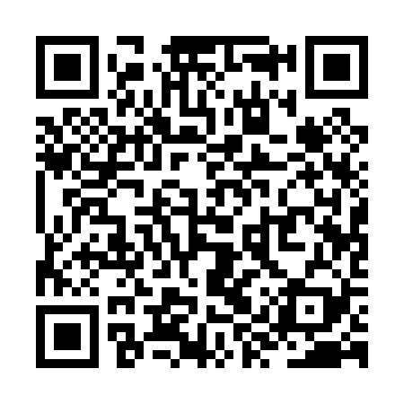 QR code for ZYQ029