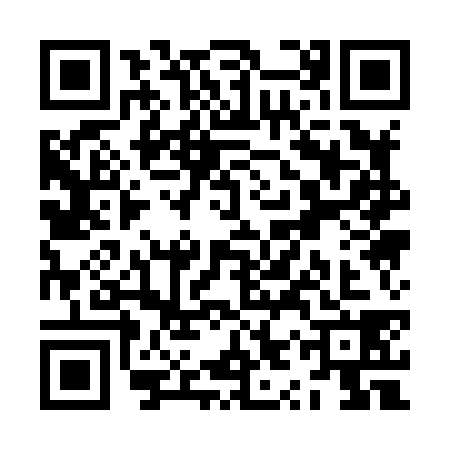 QR code for ZYQ8383