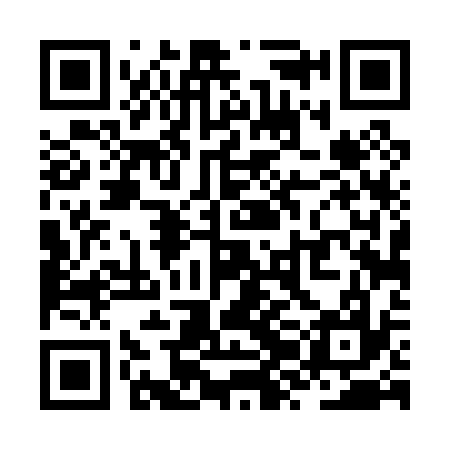 QR code for ZZD037
