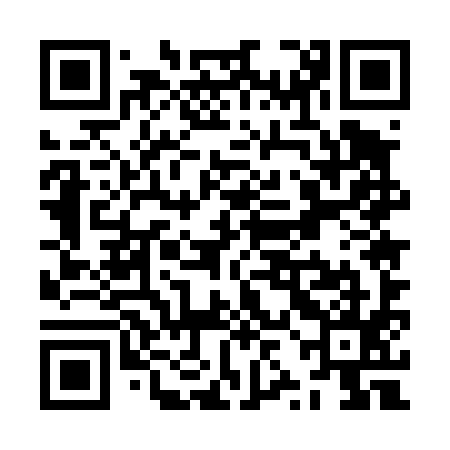 QR code for ZZE495