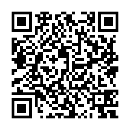 QR code for ZZI9383